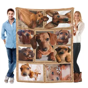 Dachshund Collage Premium Fleece Blanket – Wiener Dog Lover Cozy Pet-Themed Throw，Using a comfortable and warm knitted fabric, it is suitable for use throughout the year. It can be used for room decoration or as a nap blanket.