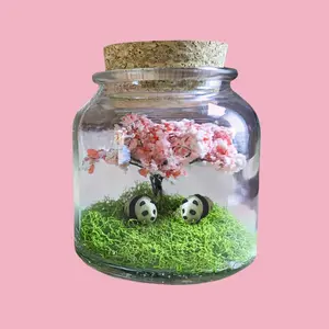 Miniature Giant Pandas Terrarium by SBMathieu