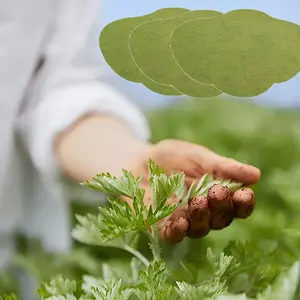 Wormwood Belly Patch, 72 Pieces Belly Button Wormwood Patch, Natural Wormwood Belly Patch for Men and Women, Abdominal Belly Patch, Whole Body Belly Patch