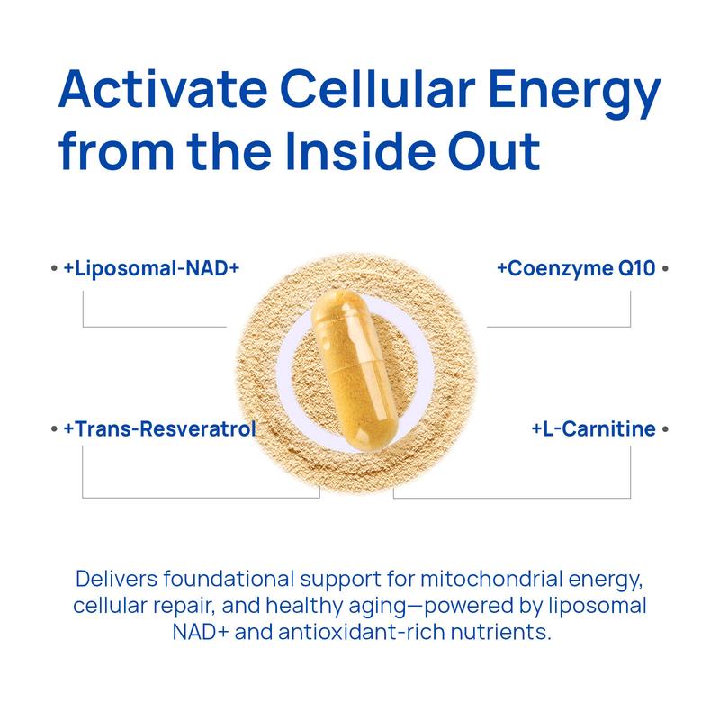 Selerb NAD+ Supplement for Men – With  Liposomal-NAD+,CoQ10, L-Carnitine, L-Arginine, Maca & Ashwagandha Fitness – Energy, Circulation & Prostate Support – 60 Capsules Edible Dietary  Vitamin Healthcare Natural