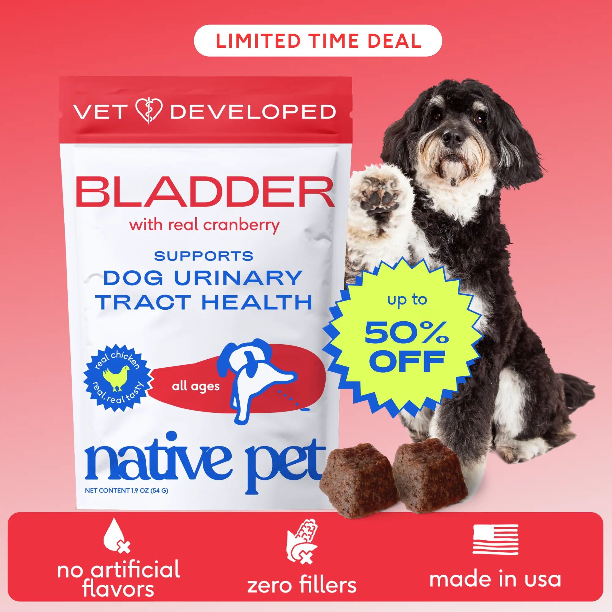 Native Pet Dog UTI Treatment - Cranberry Supplement for Dogs Bladder Control & Kidney Support - Prevent Urinary Tract Infection and Urinary Incontinence - Made with Real Cranberry Extract Chews Probiotics
