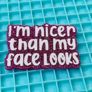 I'm Nicer Charm for DIY/Badge Reels/Hair Clips- Adorable Design for Crafting Projects - Perfect for Creating Badges, Key Chains & More