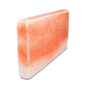 Salt Plate 8 x 4 x 0.75