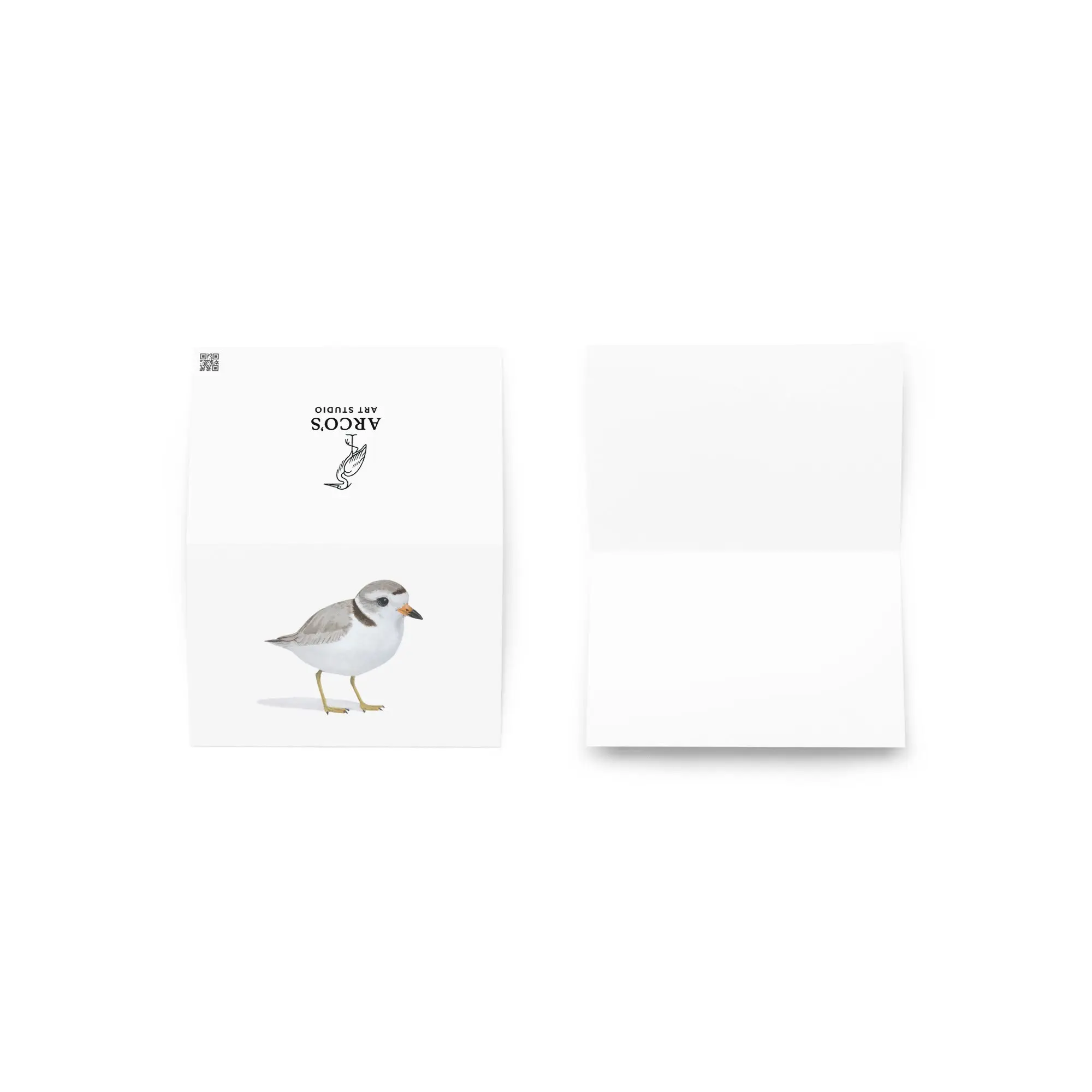 Piping Plover Greeting card