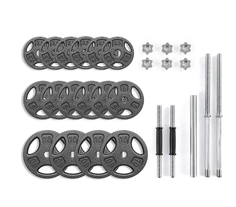 100LB Black Cast Iron Standard Weight Plates Set - 1-in Holes for Standard-Sized Bars, Dual-Use for Dumbbell and Barbell Training