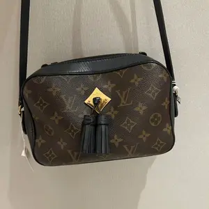 Pre-owned Louis Vuitton Monogram&Black Camera Crossbody Bag