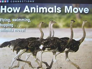USED-How Animal Move [Text Connections Informational Text Level C/3 Lexile 90L] by Rebecca Grudzina (Paperback)