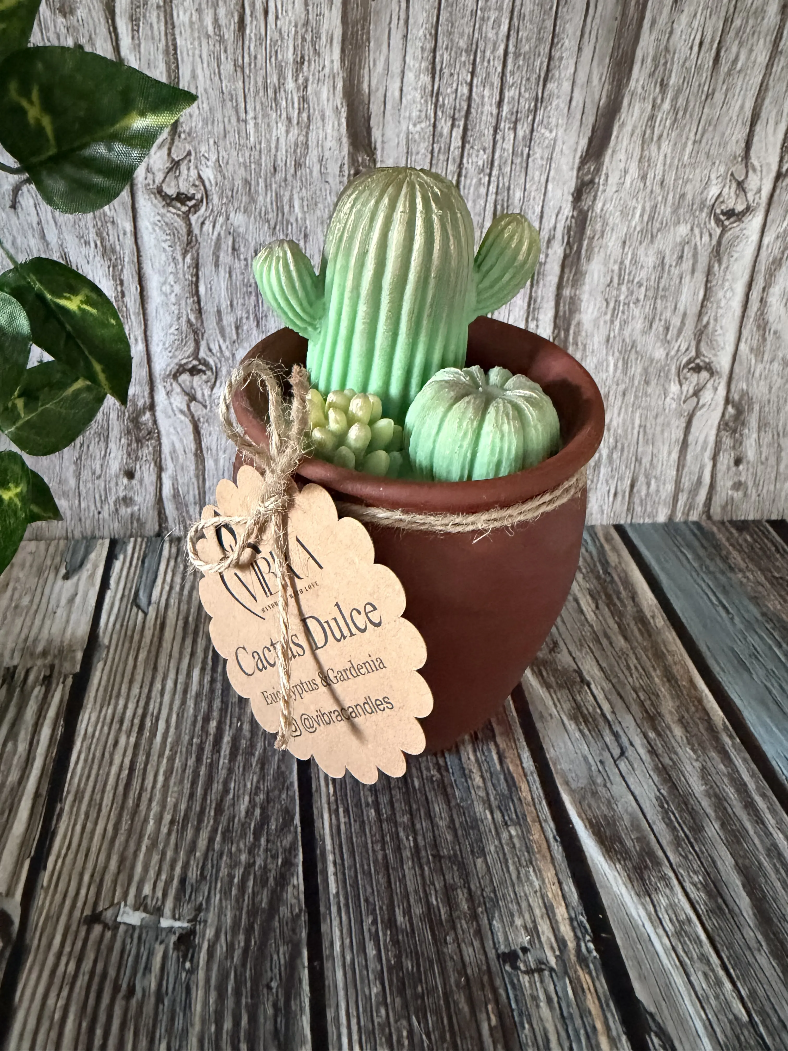 Cactus Dulce Candle