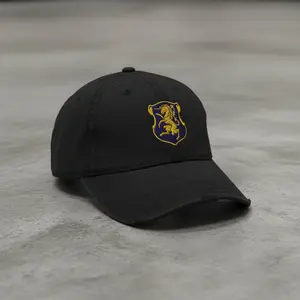 6th Cavalry Regiment Insignia Distressed Dad Hat