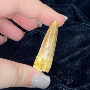 Single Spino chomp device part