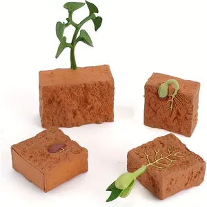 Plant Life Cycle Model Toy, 1 Set Simulation Plant Growth Cycle Toy, Educational Toy for Kids, Birthday Gift for Boys & Girls