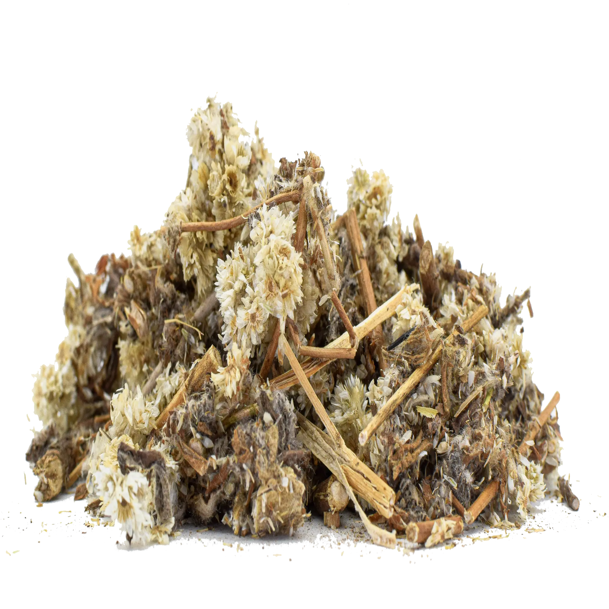 Gordolobo Everlasting Life Everlasting Cudweed Great Mullein Mexican Mullein 2oz Herbal Tea for Respiratory Health Digestive Support & Allergy Relief