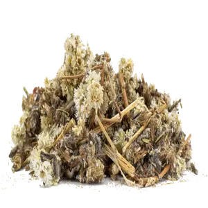 Gordolobo Everlasting Life Everlasting Cudweed Great Mullein Mexican Mullein 2oz Herbal Tea for Respiratory Health Digestive Support & Allergy Relief