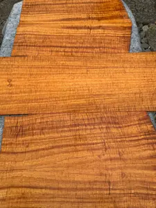 Premium Curly Koa Baritone Ukulele 6pc set