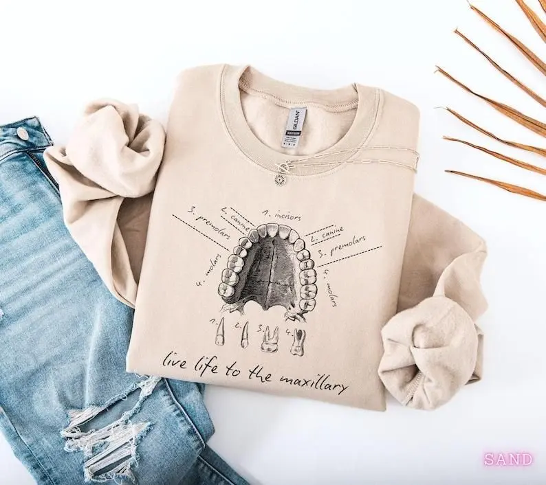 Dental Anatomy T Shirt And Sweatshirt, Tooth Dental Hygiene Design, Dental Hygienist Gift, Dental Assistant Graduation Shirt, Office Student Apparel, Womens Unisex