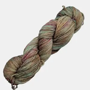 Dancing Degas Variegated Indie Dyed Yarn