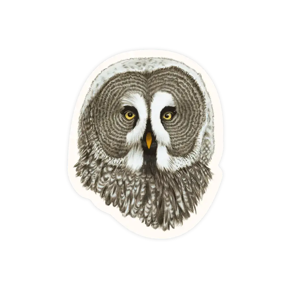 Grey Owl Sticker