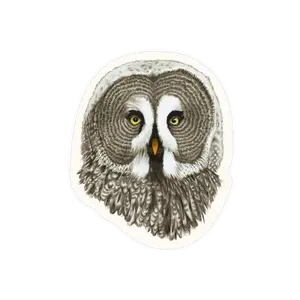 Grey Owl Sticker