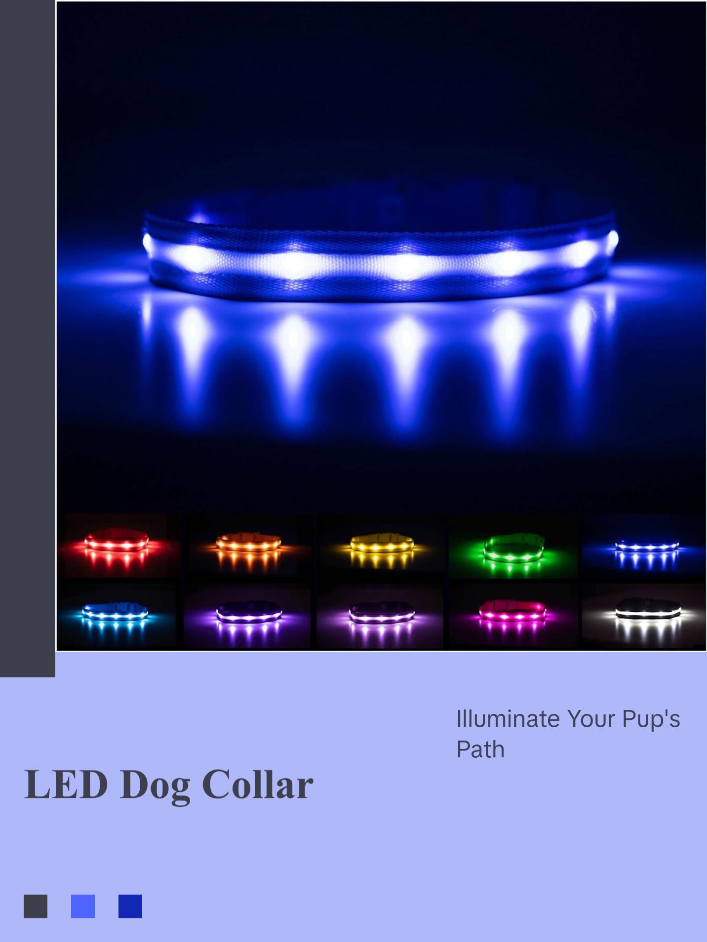 BLAZIN Brightest LED Dog Collars – The Original LED Collar Offering 1,000 Feet of Visibility – USB Rechargeable, Waterproof Design for Enhanced Safety During Nighttime Walks – Proudly Made in the USA Blazin