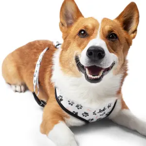 Jax & June Co. Adjustable Dog Harness and Leash Set: Featuring a no-pull harness, matching leash and attachable poop bag holder.