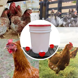 Chicken Watering Cups, Chicken Drinking Fountain, Automatic Drinking Bowl, for Chicken, Duck, Pigeons, Goose and Turkey, Chicken Farming Equipment, Pet Supplies