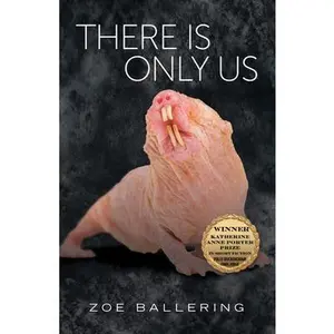 USED-There Is Only Us: Volume 21 by Ballering, Zoe (Paperback)