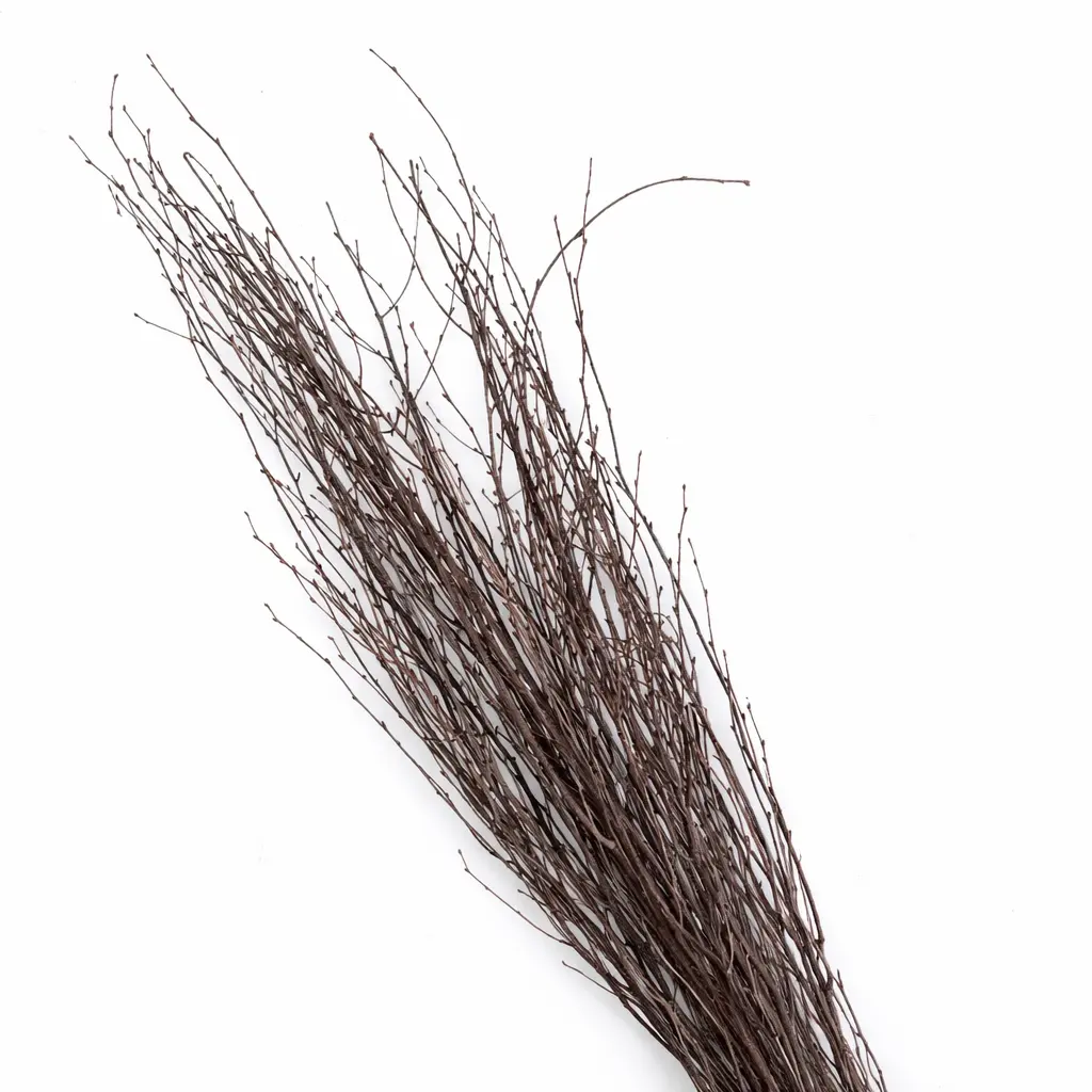 Natural Birch Branches, 4 Foot Set of 6