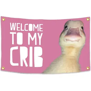 Pink Tapestry  Funny Poster Banner Wall Outdoor Hanging Flag With Brass Grommets    for College Dorm Room Decor