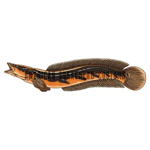 Bullseye snakehead Sticker