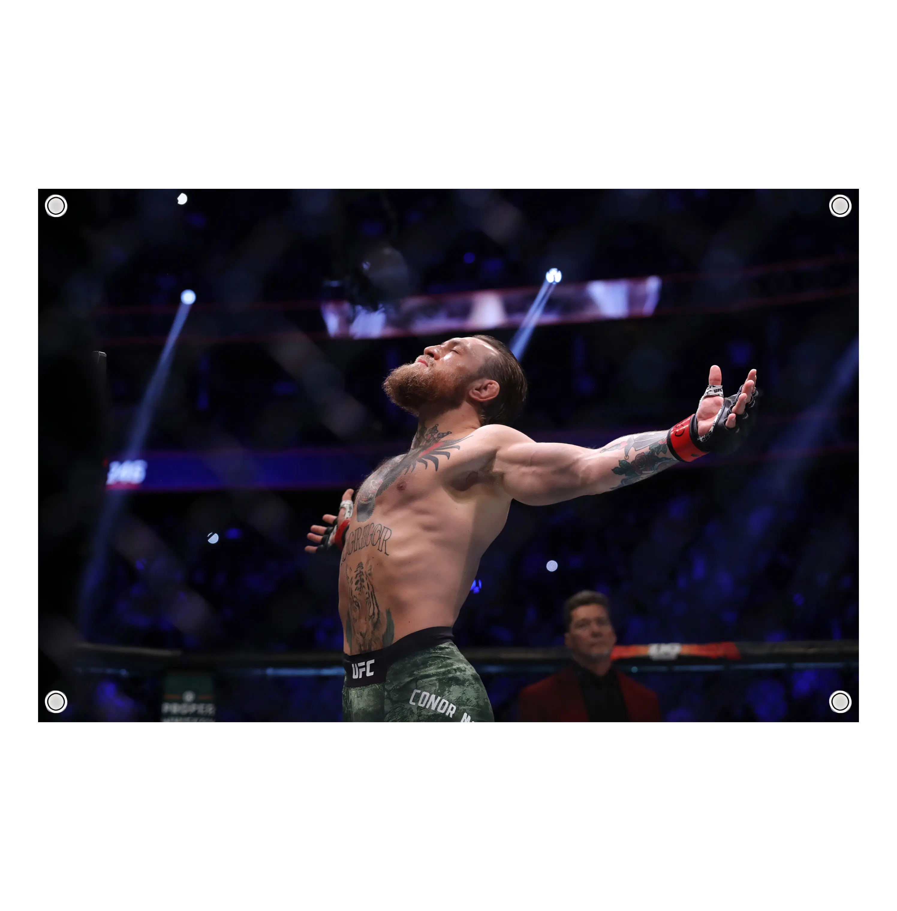 "The Notorious" Conor McGregor Flag UFC Inspired Fight Night Wall Flag Combat Sports Banner for Bedroom Octagon Gym Decor Gift for MMA Fans