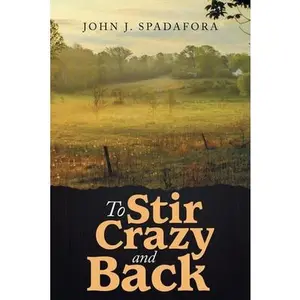 USED-To Stir Crazy and Back by Spadafora, John J. (Paperback)