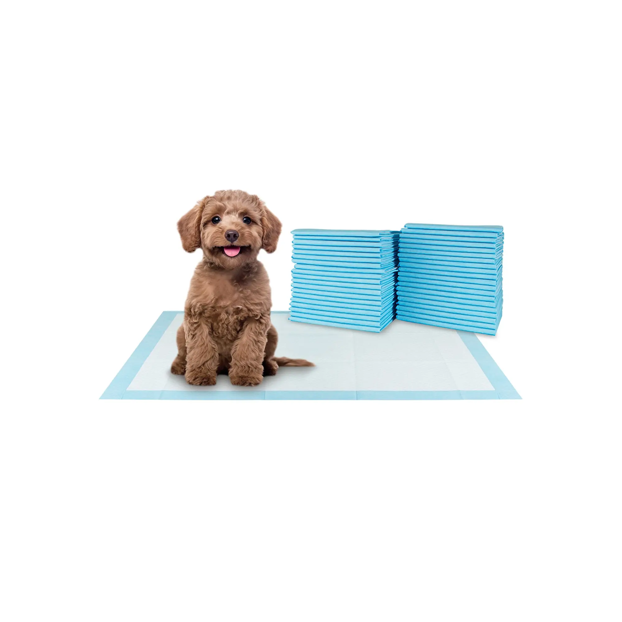 BV Pet Potty Training Pads - 17"x24" Training Pad, 100-Count - for Dog, Cat, Rabbit, Guinea Pig