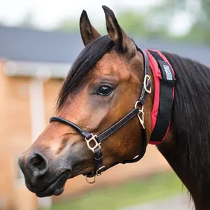 Schneiders Dura-Tech All Day Throatlatch Wrap