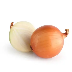 Onion, Yellow Sweet Spanish - Bulk Seed