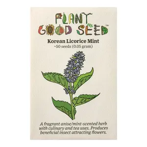 Plant Good Seed Korean Licorice Mint Seeds for Planting: Perennial Herb, Purple Flowers - 50 Seed Packet