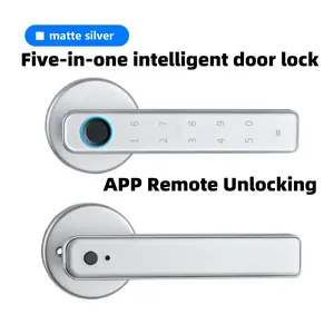 Smart Fingerprint Door Lock, Keyless Fingerprint Recognition, Remote Unlock, 5-In-1 Fingerprint Door Lock, Smart Password Lock, Easy Installation, Space Silver Color, Electronic Door Lock, Digital Keypad Lock, Biometric Lock