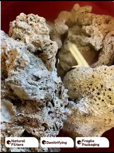 10 Pounds of Live Rock Purple Coraline Algae for Marine Saltwater Aquarium Reef Natural Biological Filter and Denitrifying Environment