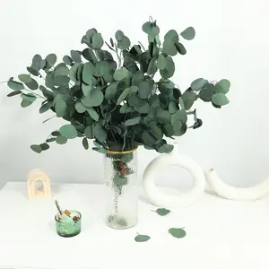 30 Pcs Real Dried Eucalyptus Stems, 17" Preserved Fresh Eucalyptus Silver Dollar Leaves for Shower, Greenery Branches for Wedding Home Party Vase Filler Spring Decor