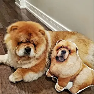 Pet Pillow Looks Like Your Pet | Custom 3D Photo Cutout Pillow Pet Pillow Looks Like Your Pet | Custom 3D Photo Cutout Pillow