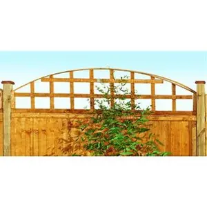 212 MAIN Heavy Gauge Steel Powder-Coat Arch Top Trellis, 6.9 ft. Garden Stake, Outdoor Use