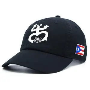 Puerto Rico Coqui Frog Dad Hat Tino PR Flag Side Embroidery Baseball Cap NEW Casual Hat Embroidered Snapback Patriotic Hat Novelty Cap