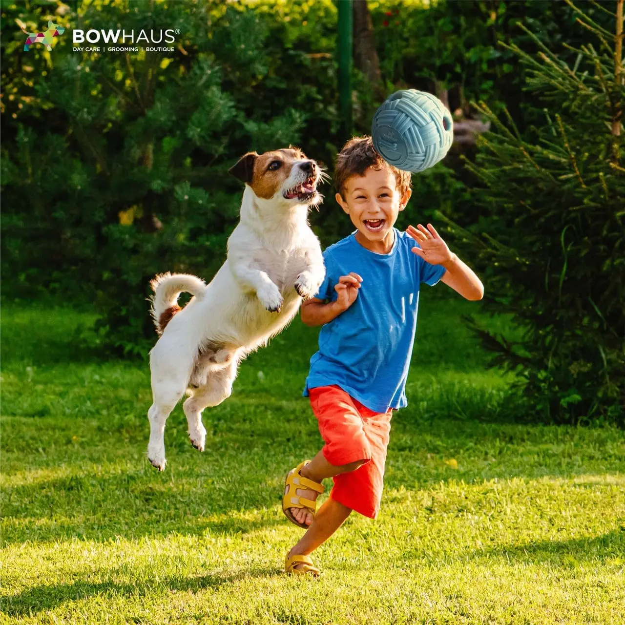 BOWHAUS Yarn Design Giggle Ball for Dogs, 5.5 Inch Interactive Treat Dispensing Ball, Indestructible Fun Squeaky Dog Chew Exercise Toy, Non-Toxic Durable PVC Wobble Giggle Toy for Indoor Outdoor Play