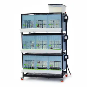 Chick Brooder - 3 Layer H: 15" - 3-Layer Chick Brooder (15" Height) for Safe & Warm Chick Rearing