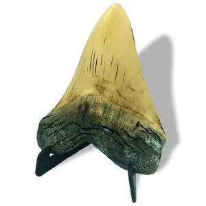 VENLICI Megalodon Resin Shark Tooth 5.5 Inch Model with Vertical Display Stand Fake Shark Teeth Statues Home Decor for Shop Ornament Office Desktop
