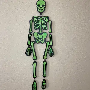Glow in the dark hanging skeleton