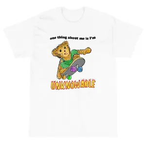 Unknowable Meme TShirt, Unisex T Shirt, Top Womenswear, Quirky Tee Featuring A Skateboarding Teddy Bear With Flames & One Thing About Me Is I'm Above.