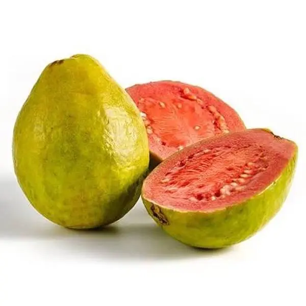Ruby Supreme Pink Guava Live Tree, 8-12 in Tall, 1/4 Gal Pot - Not Shippable to CA, TX, MS, AZ, LA, Puerto Rico or Any Island