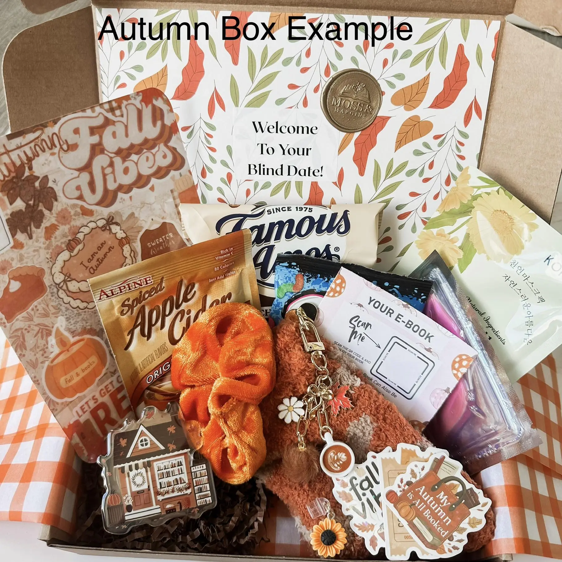 Limited Edition Themed Ultimate Cozy Kit: Blind Date with a book & Accessories! Blind date with Kindle, Book Box, E-reader accessories, #booktok, Card stock Inserts Sticker Sleeve Customized Sticker