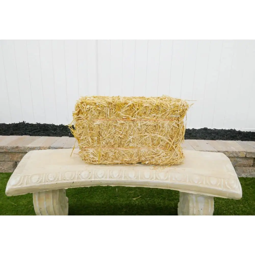BELL NURSERY Mini Straw Bales 8 in. x 10 in. x 16 in.