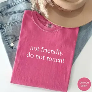 Comfort Colors Not Friendly Do Not Touch T-shirt, Funny Quotes Tee, Funny Humor Shirt, Trendy Gift for Women, For Woman